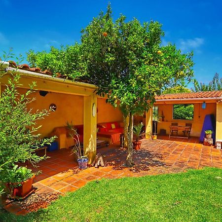 Lugar Saloio Sintra Bed and Breakfast Mem Martins Εξωτερικό φωτογραφία