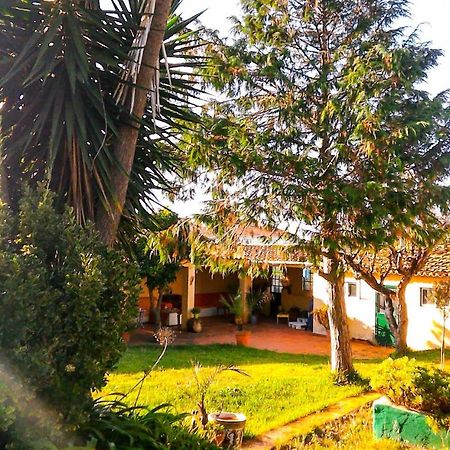 Lugar Saloio Sintra Bed and Breakfast Mem Martins Εξωτερικό φωτογραφία