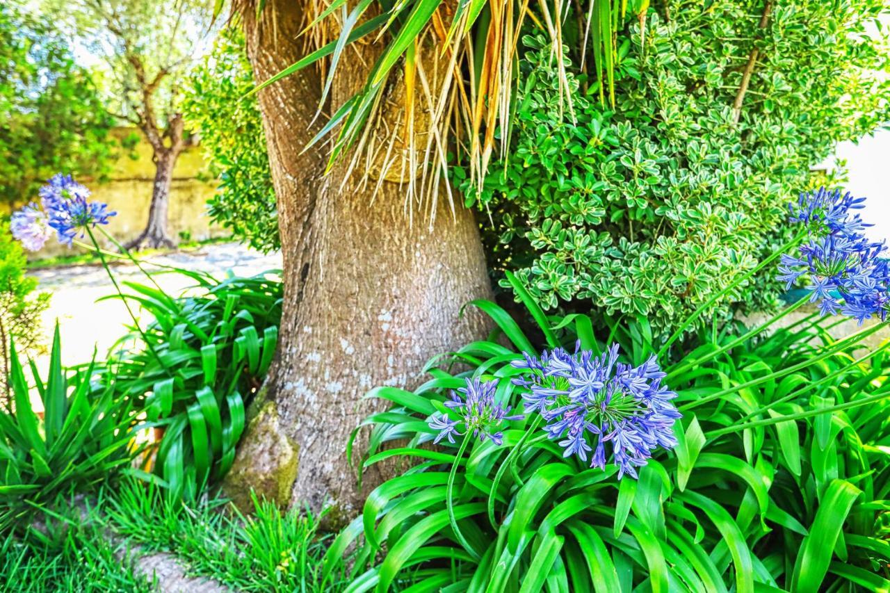 Lugar Saloio Sintra Bed and Breakfast Mem Martins Εξωτερικό φωτογραφία